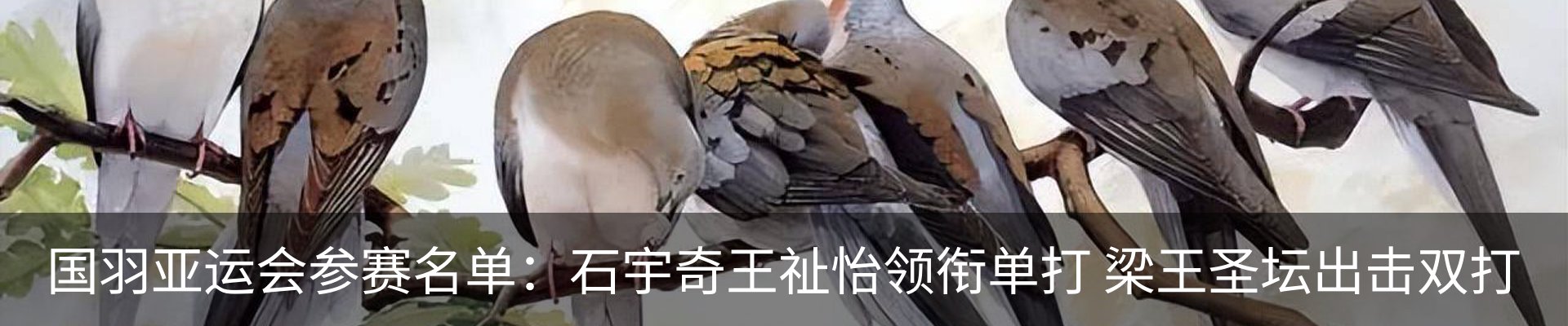 最新动态